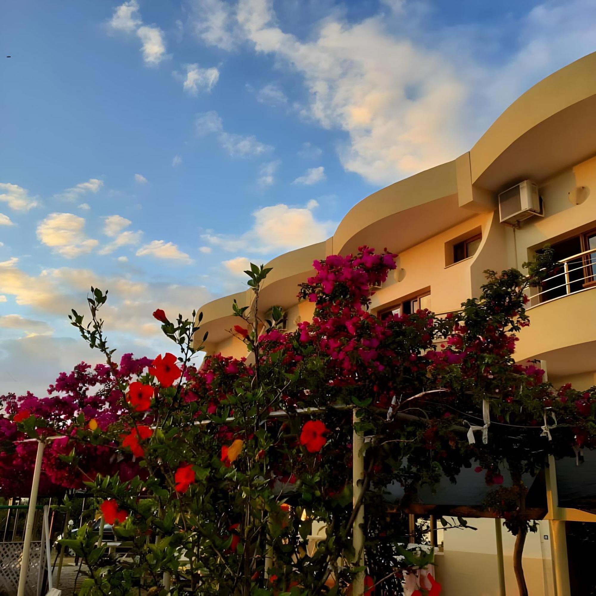 Hotel Sirena Radhimë Exteriör bild